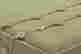 item-104130887=4