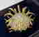 item-104172125=3