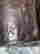 item-108377560=4