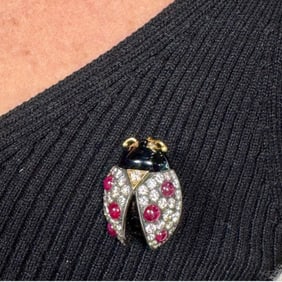18K Yellow Gold Diamond and Ruby Ladybug Brooch