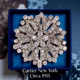 Cartier 36.96 Cttw Diamond Platinum Brooch
