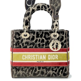 Christian Dior handbag Lady Dee Light Leopard Velvet Medium M0565OTGT 2way