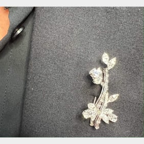 Platinum Diamond Branch Brooch