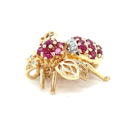Retro 18k Ruby Bug