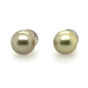 14.5mm Golden South Sea Pearl Studs