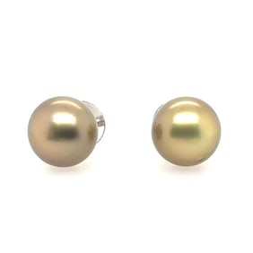 16.1mm Golden South Sea Pearl Studs