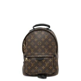 Louis Vuitton Monogram Palm Springs Backpack PM M41560 LOUIS VUITTON
