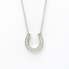 Tiffany Horseshoe Diamond Necklace Platinum Diamond Women,Men Fashion Pendant Necklace (Silver)