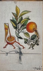 Salvador Dali Mixed Media On Paper “Floradali