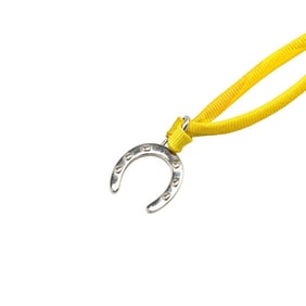 Hermes Tourbillon Necklace in Silver and Yellow Metal with Silk for Women