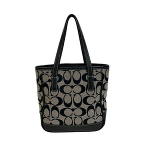COACH 6087 Mini Pouch Signature Handbag, Women's, Black