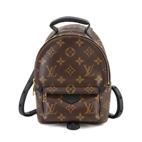 Louis Vuitton Monogram Palm Springs Mini Backpack, Brown, M44873