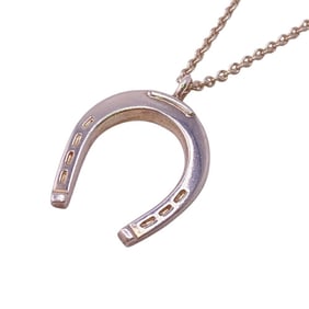 TIFFANY&Co. Tiffany Horseshoe 925 4.7g Necklace High Chain Silver Women's Men's