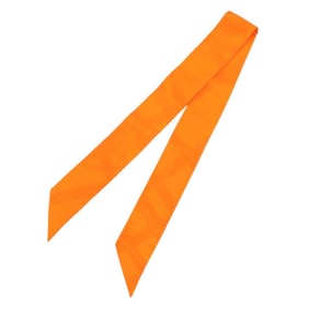 Hermes Twilly Silk Orange Scarf Muffler 0101 HERMES