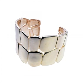 Hermes Bangle Niroticus Eclat ST Silver 925 for Men and Women