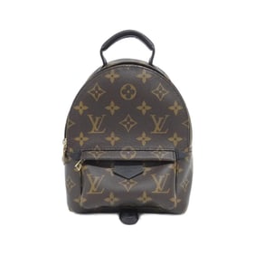 Louis Vuitton Monogram Palm Springs Backpack Mini M44873