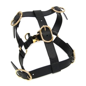 Gucci Interlocking G Pet Harness Large Size 695253 Dog Harness Leather Black