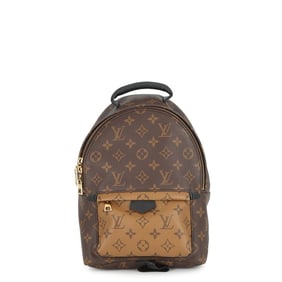 Louis Vuitton Monogram Reverse Palm Springs Backpack PM M44870 LOUIS VUITTON Bag Black