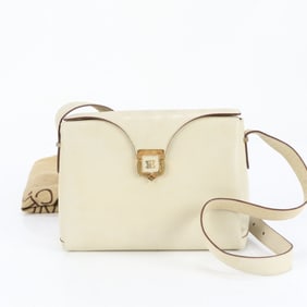 Celine Triomphe Leather Shoulder Bag/Crossbody Bag with Gold Hardware for Women