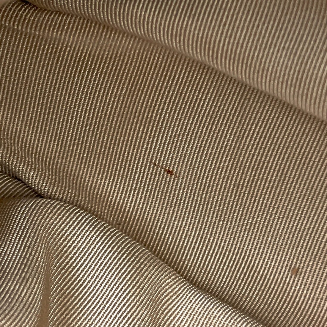 Tiffany Milgrain Ring - 13