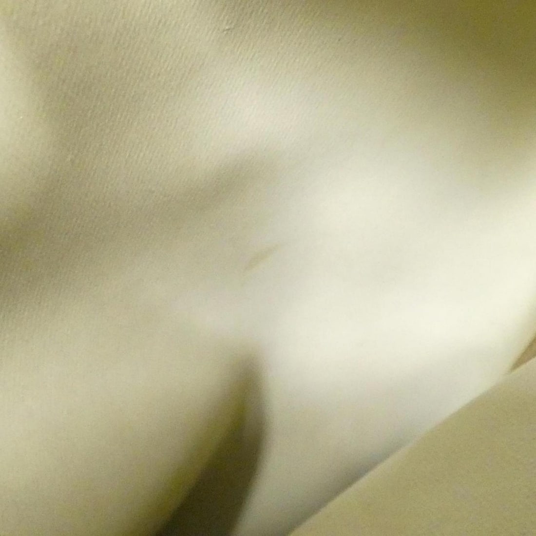 Loewe shoulder bag - 10