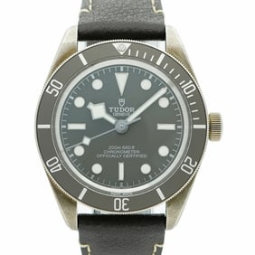 Tudor Black Bay 79010SG Gray Dial Men's Watch