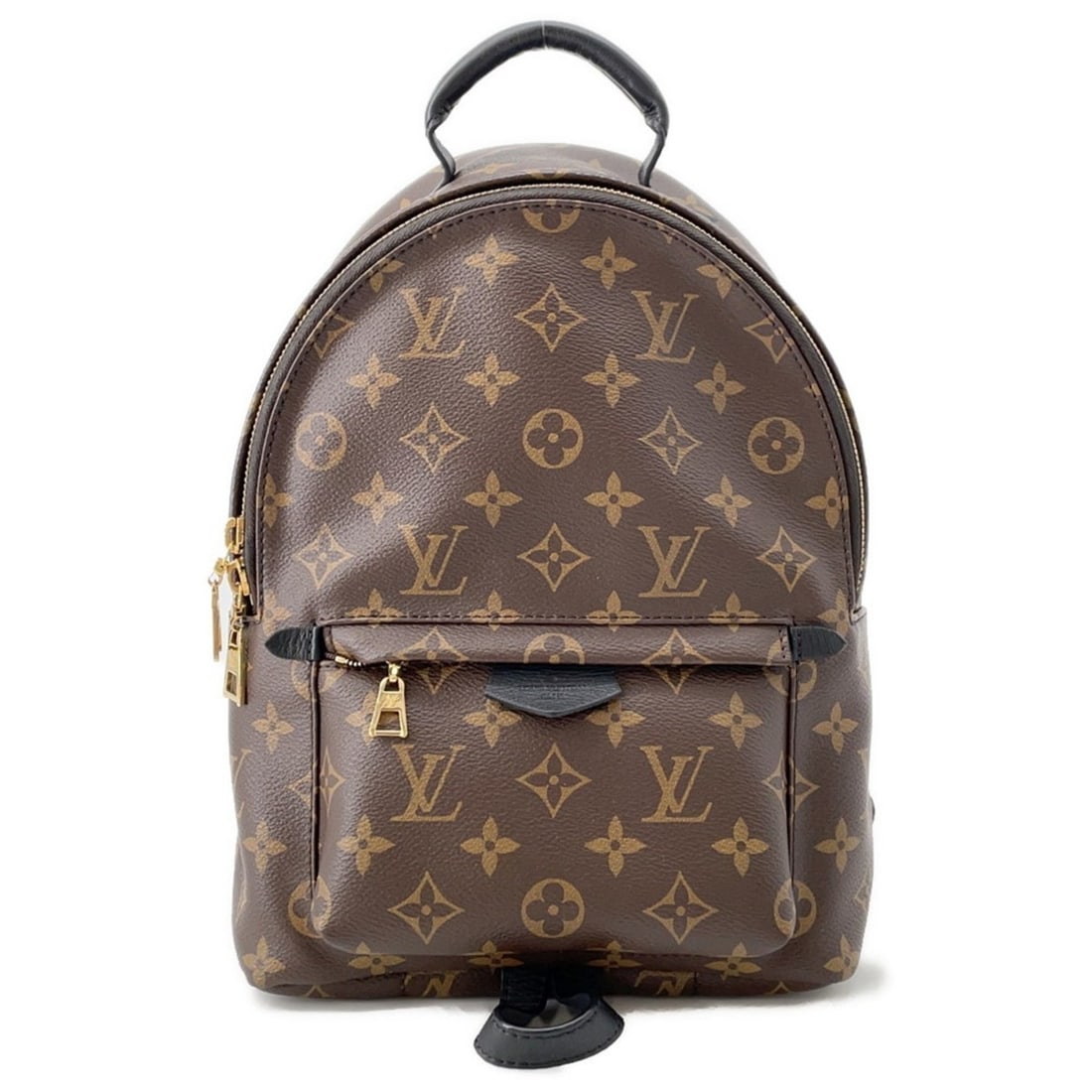 Louis Vuitton Monogram Palm Springs Backpack PM M44871 LOUIS VUITTON Black (1 of 15)