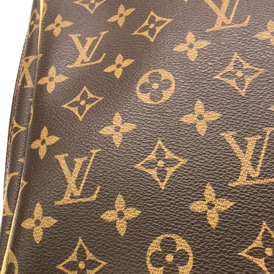 Louis Vuitton Monogram Excursion M41450 Handbag - 4