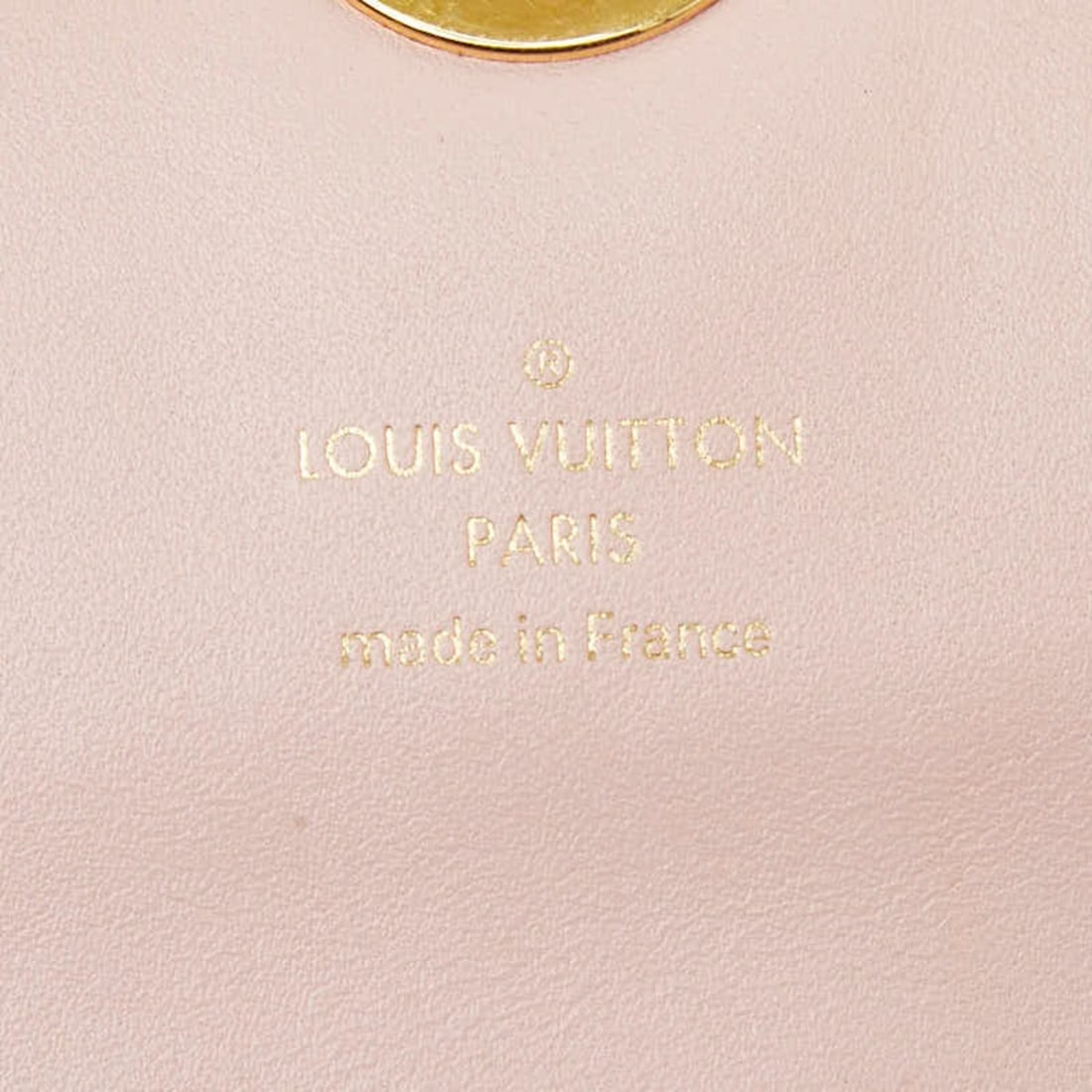 Louis Vuitton Monogram Excursion M41450 Handbag - 9