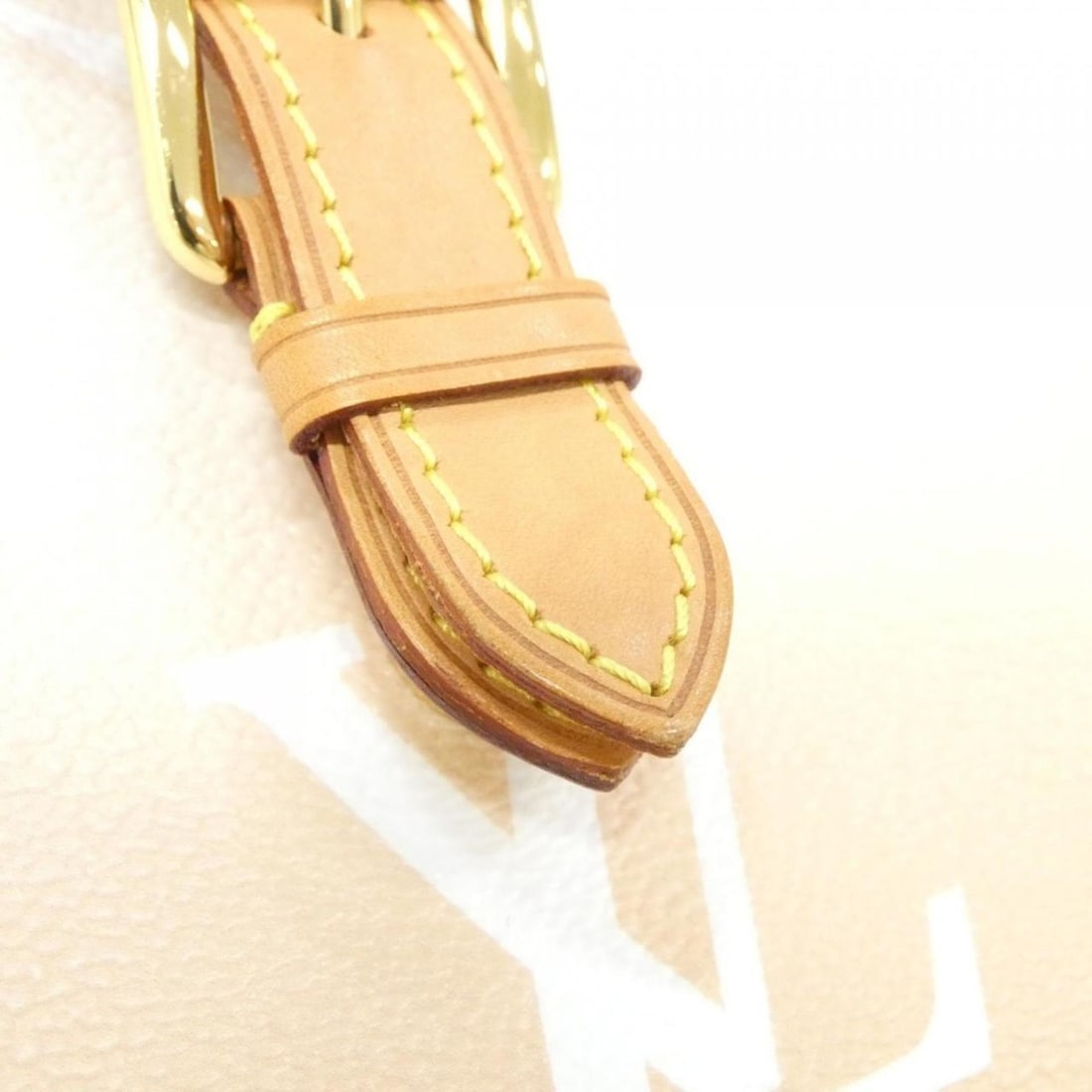 Louis Vuitton By The Pool Tiny Backpack M45764 - 5