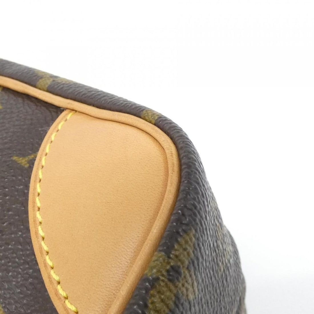 Louis Vuitton Monogram Amazon M45236 Shoulder Bag - 4