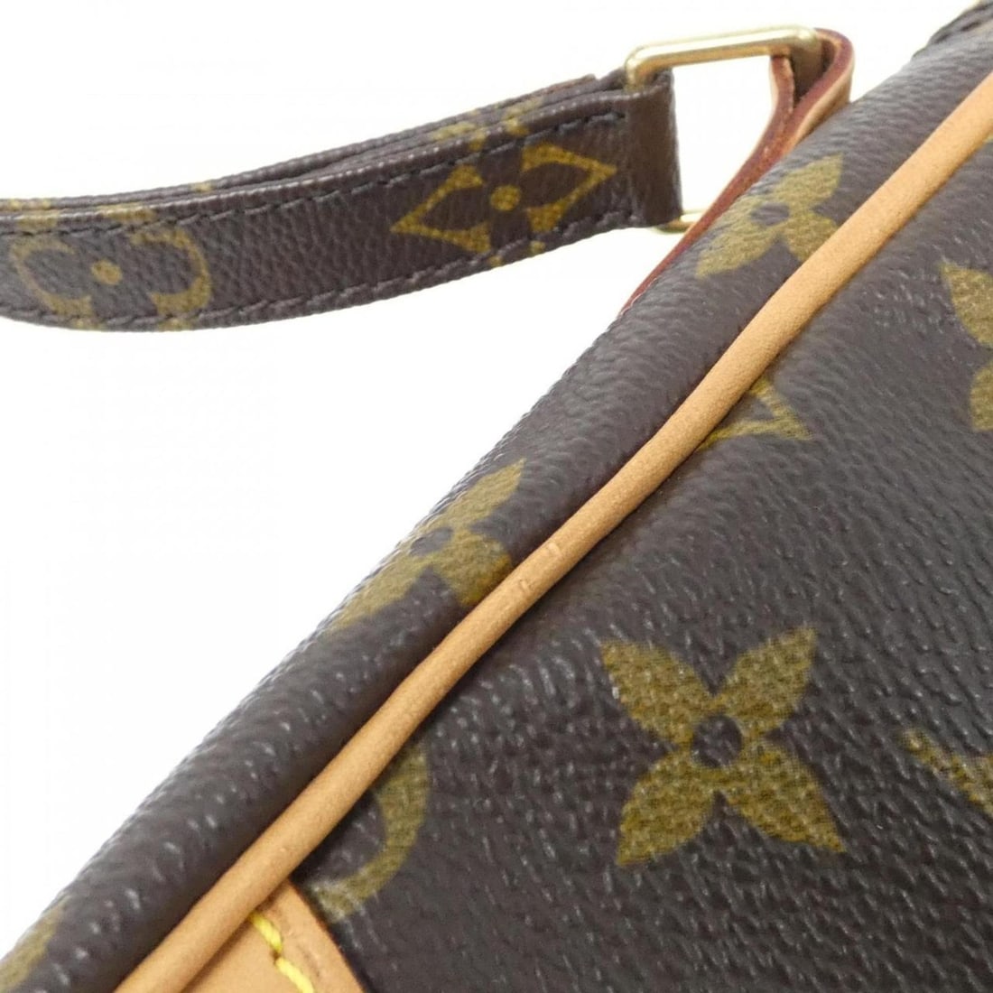 Louis Vuitton Monogram Amazon M45236 Shoulder Bag - 5