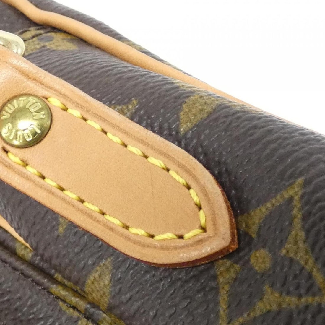 Louis Vuitton Monogram Amazon M45236 Shoulder Bag - 7