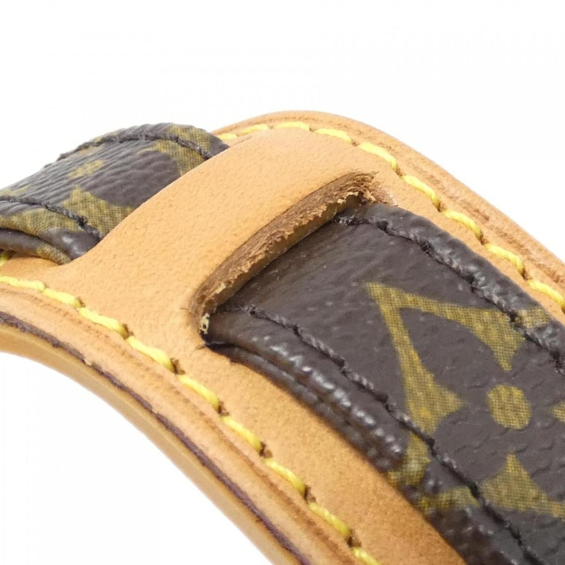 Louis Vuitton Monogram Amazon M45236 Shoulder Bag - 8