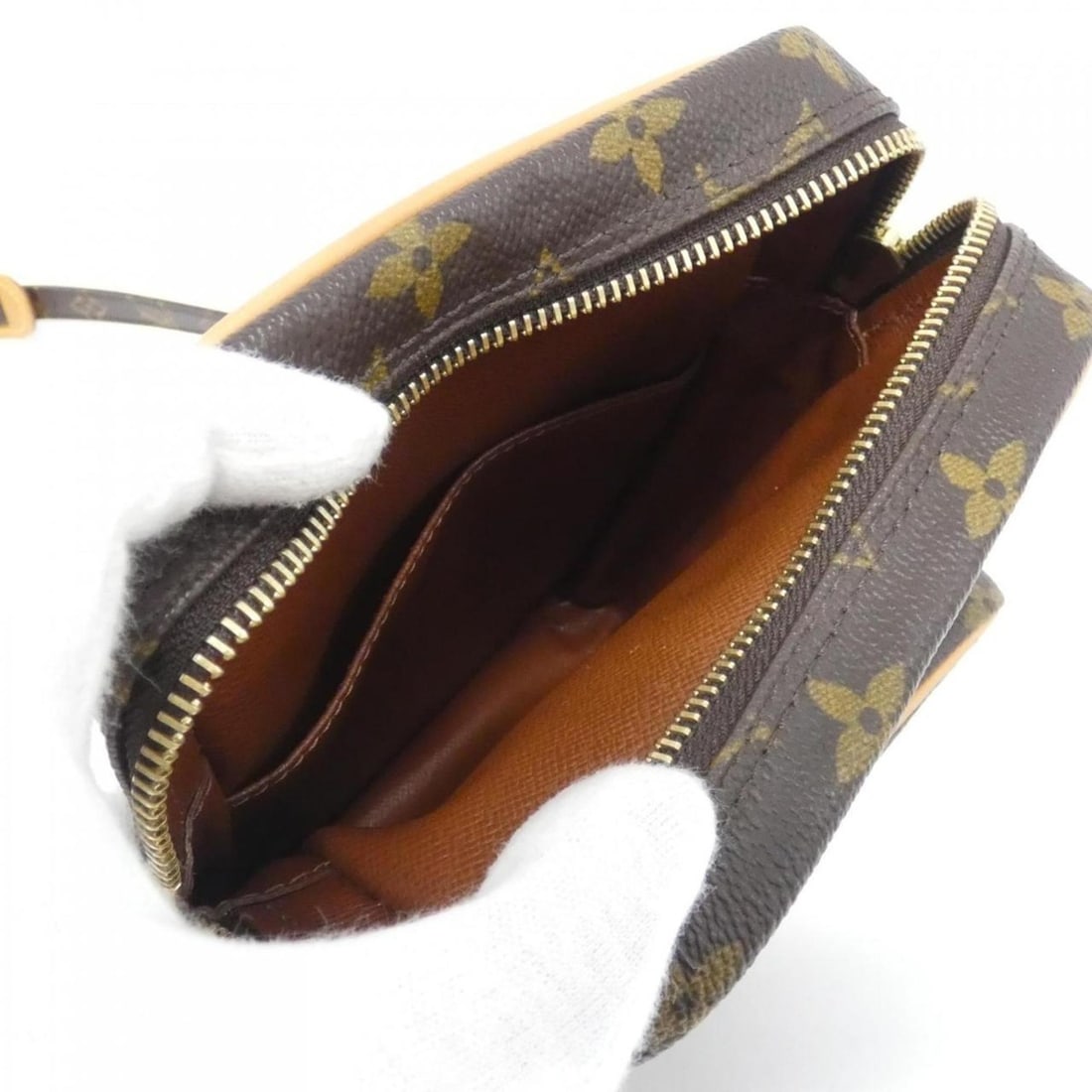 Louis Vuitton Monogram Amazon M45236 Shoulder Bag - 9