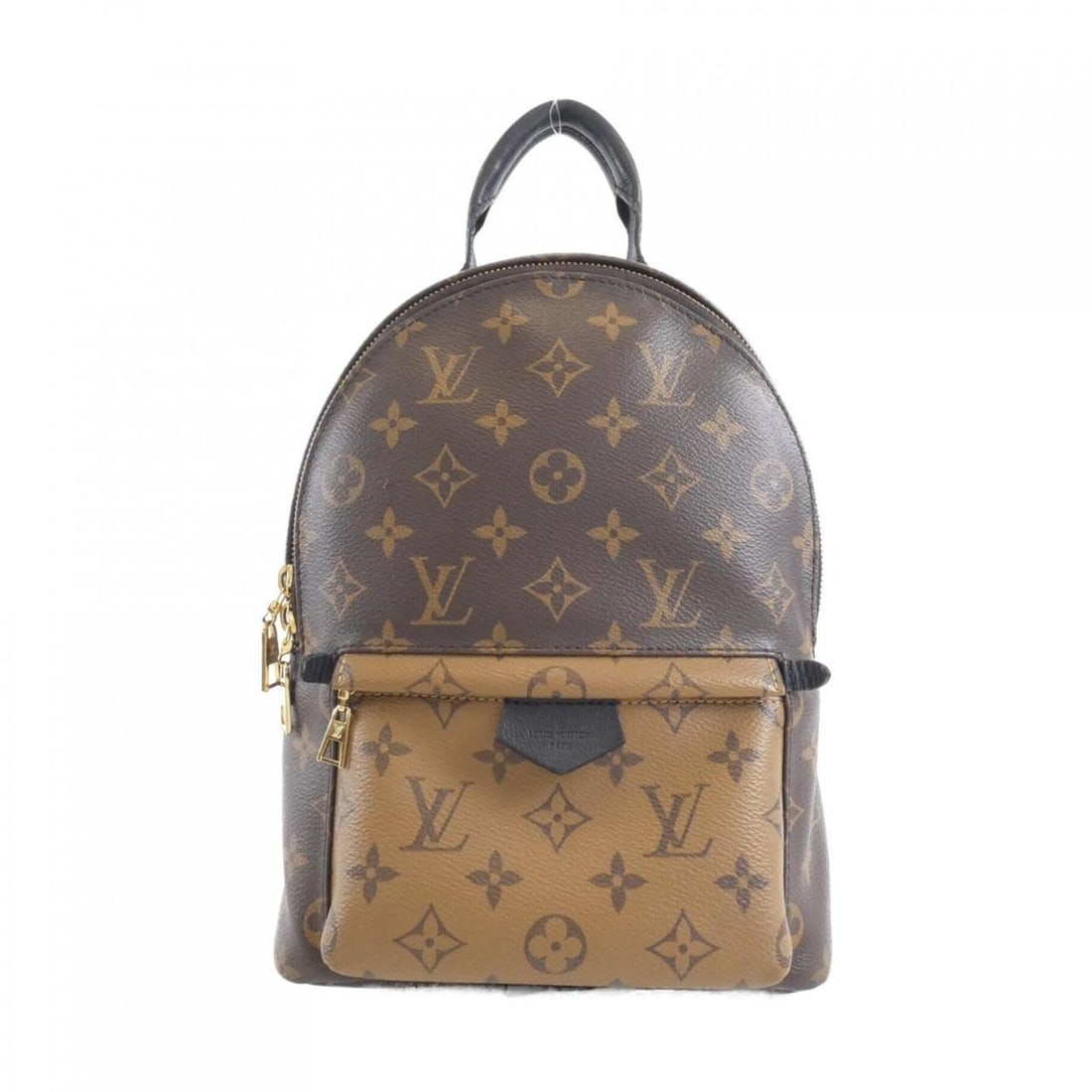 Louis Vuitton Monogram Reverse Palm Springs Backpack PM M44870 (1 of 10)