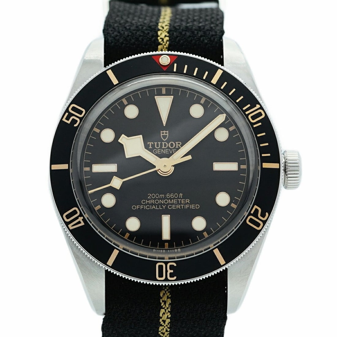 Tudor Black Bay 79030N Dial Men's Watch (1 of 18)