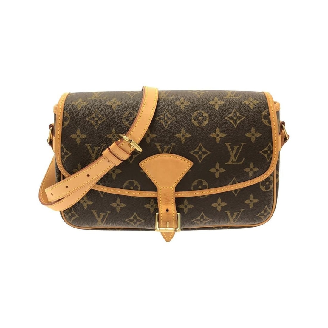 Louis Vuitton Monogram Sologne M42250 Shoulder Bag (1 of 15)
