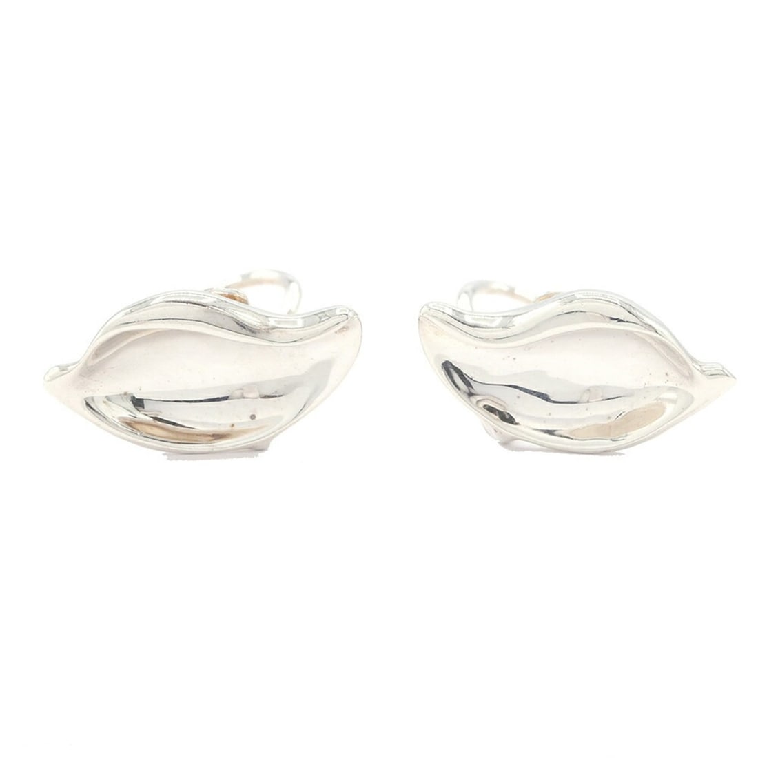 Tiffany & Co. Leaf Earrings, Elsa Peretti Design, Sterling Silver 925, Year Old Collection, Ladies' (1 of 13)