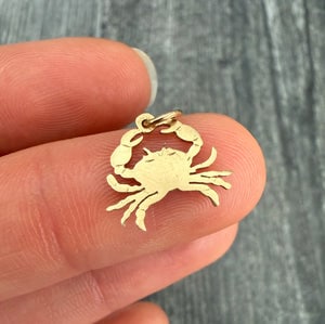 Zodiac Cancer or Crab Charm in 14K Gold: 14K gold charm representing the Cancer zodiac sign.