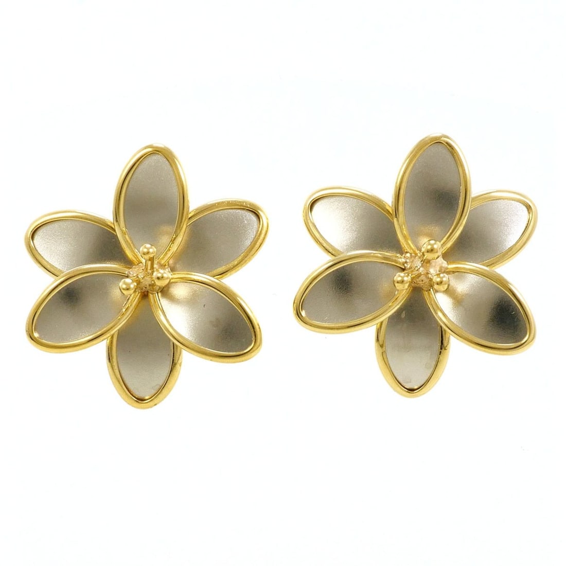 PT850 Platinum 18K Yellow Gold Earrings, Total Weight 2.4g, Jewelry: --- Catalog ---Category: SizeWeight: 2.4g / 0.08oz.Category: DesignType: Stud earringsColor: Platinum, Yellow goldMetal: Gold, PlatinumGender: WomenMaterial: Platinum 850, Yellow gold (18K)Metal Purit
