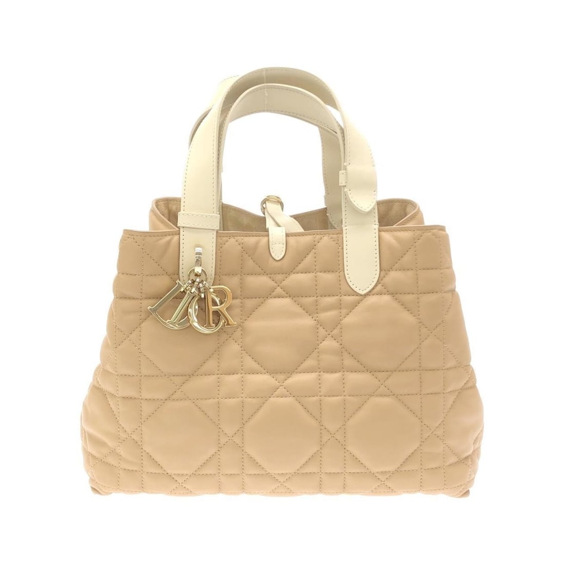 Christian Dior Toujours Medium M2821OSIY Handbag (1 of 10)