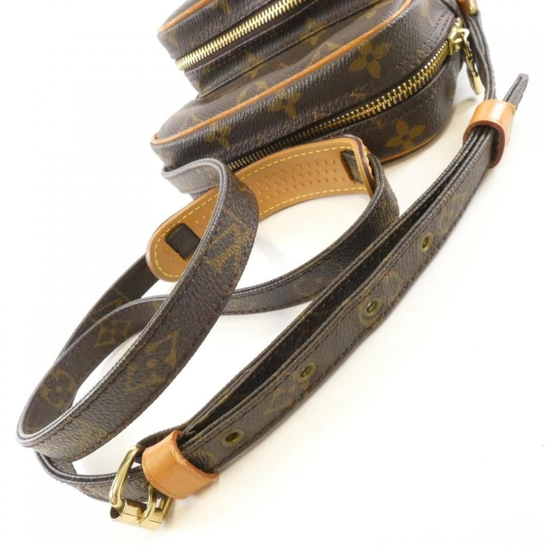Louis Vuitton Monogram Amazon M45236 Shoulder Bag - 7