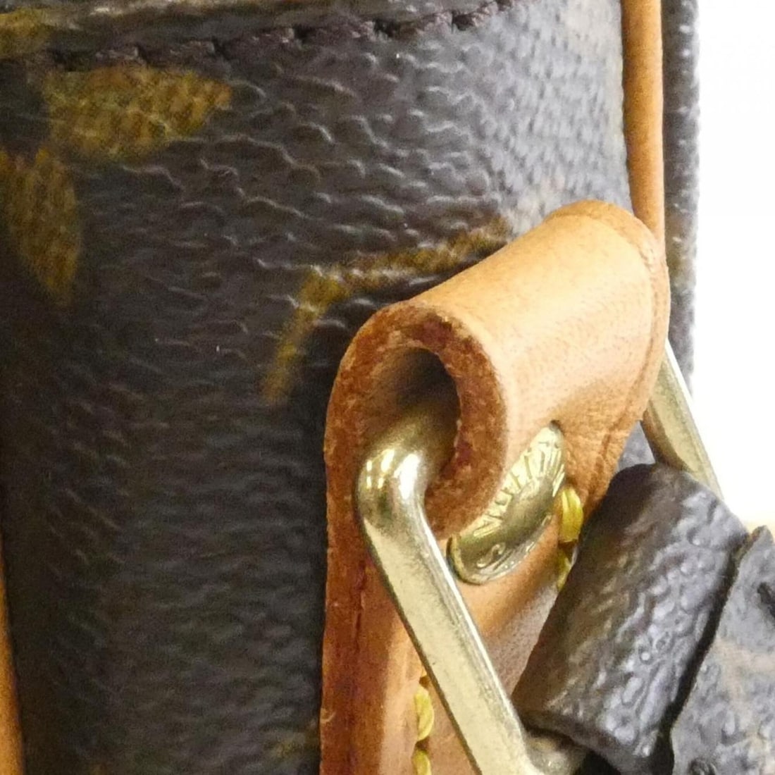 Louis Vuitton Monogram Amazon M45236 Shoulder Bag - 5