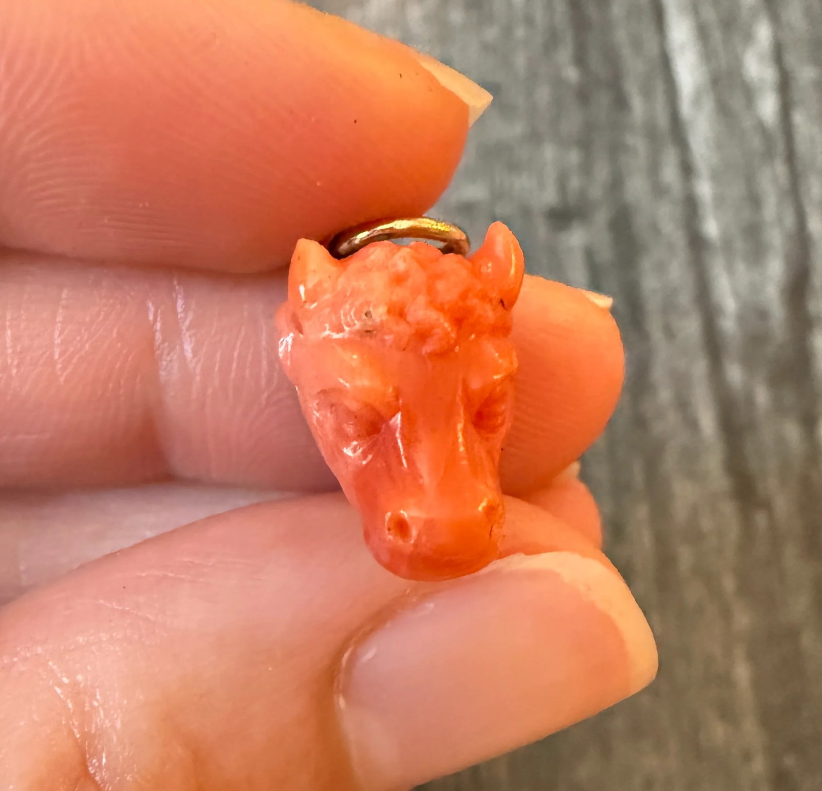 Antique Carved Natural Coral Bull or Ox Charm: Metal: 10K Yellow Gold Weight: 3.1 gramsMeasurements: 0.65 inches long by 0.45 inches wideCondition: In very good antique condition with some minor surface wear consistent with age.Follow us on