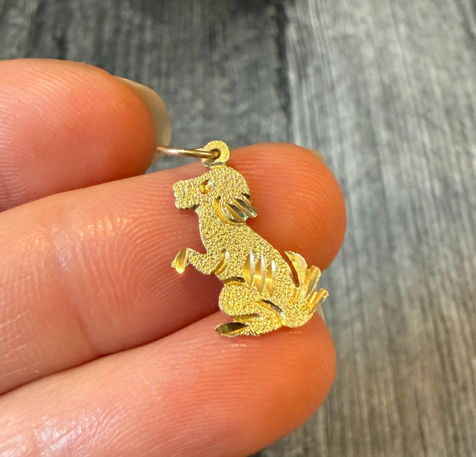 Standing Dog Charm in 14K Gold: Metal: 14K Yellow Gold Weight: 0.7 gramsMeasurements: 0.65 inches long by 0.4 inches wideMarkings: "14K"Condition: In good condition with some minor surface wear Follow us on Instagram @alphaomegajewe