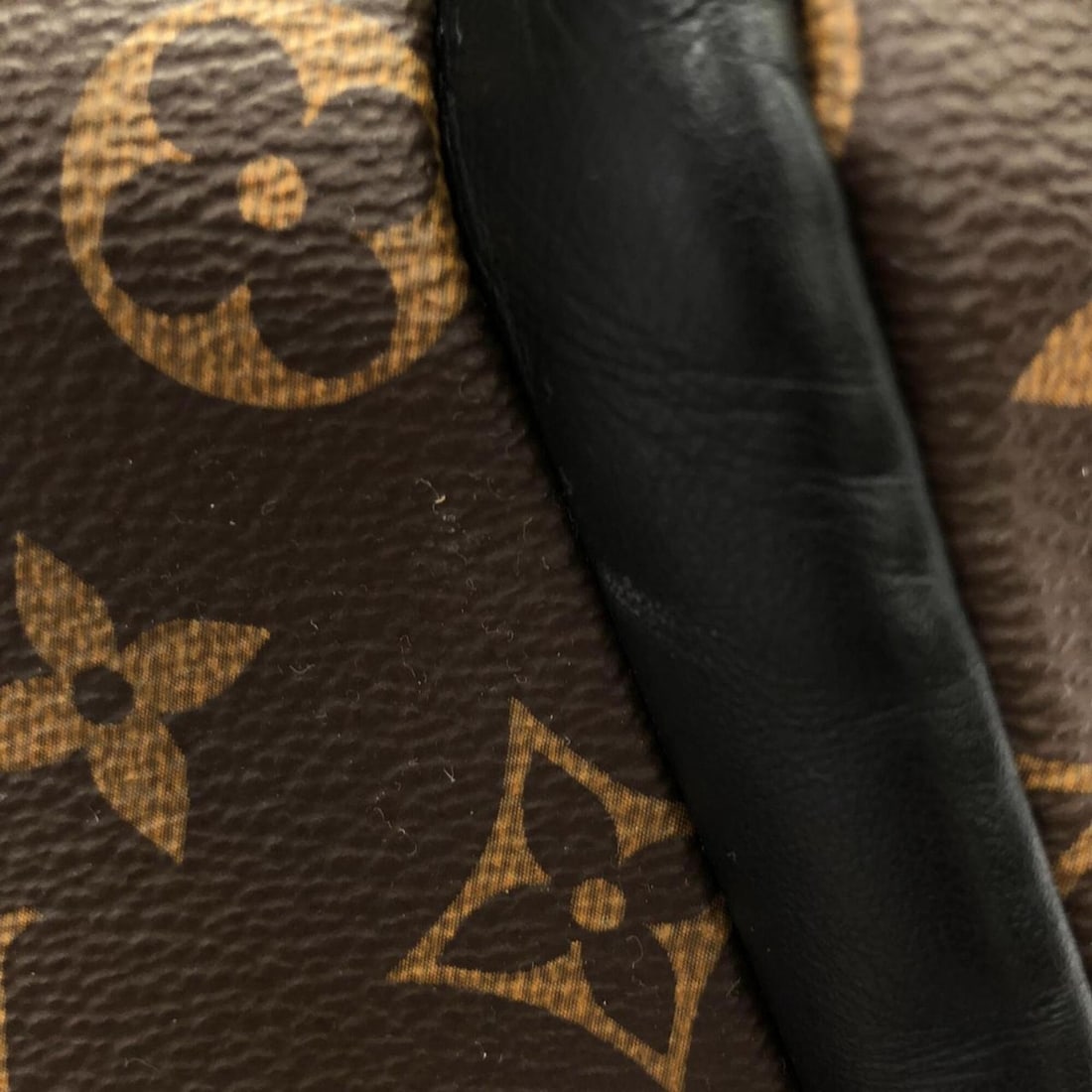 Louis Vuitton Monogram Macassar Josh M45349 Backpack - 5