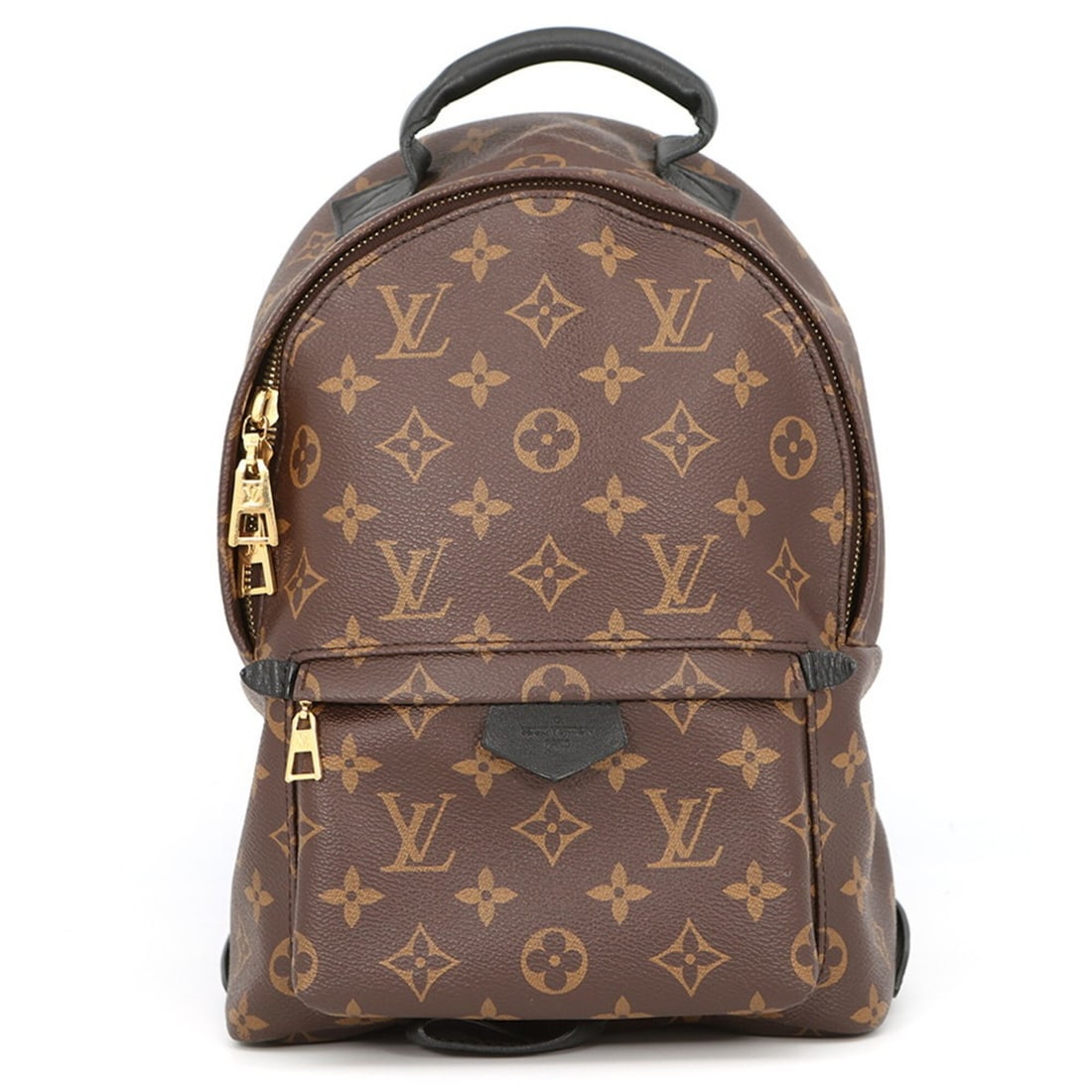 Louis Vuitton Monogram Palm Springs Backpack PM M41560 LOUIS VUITTON Handbag (1 of 16)