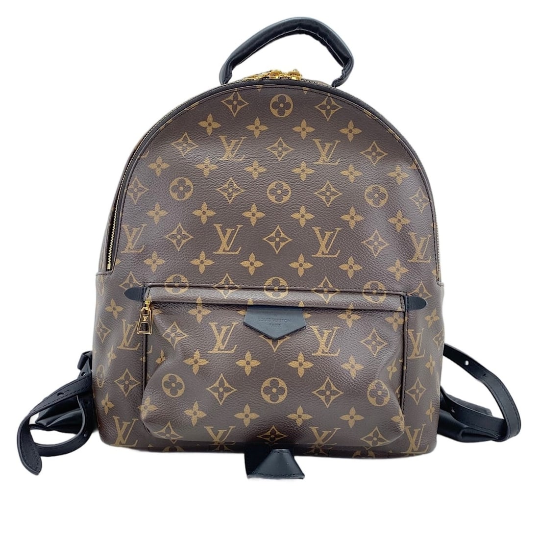 Louis Vuitton Palm Springs Backpack PM (Brown) (1 of 20)