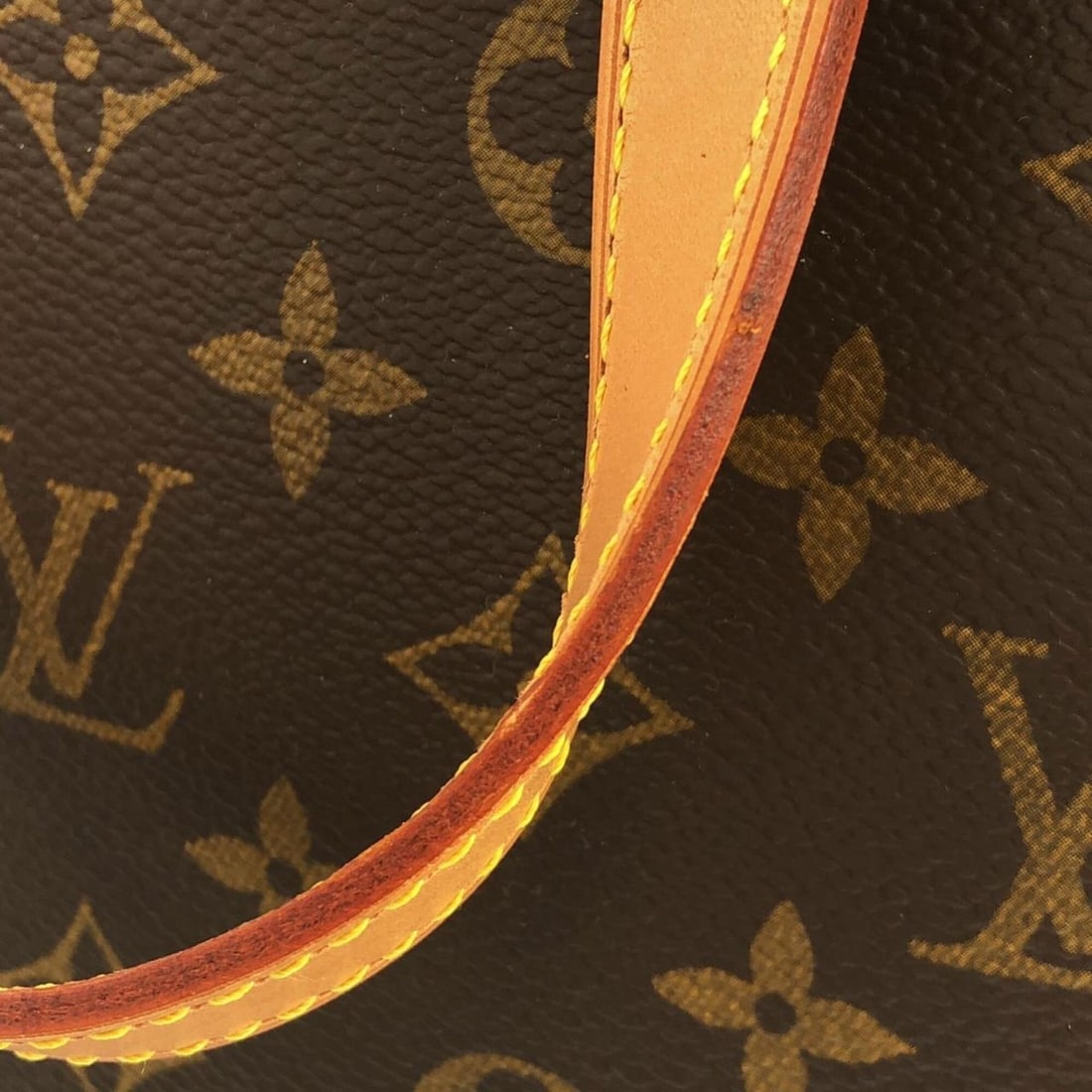 Louis Vuitton Monogram Excursion M41450 Handbag - 5